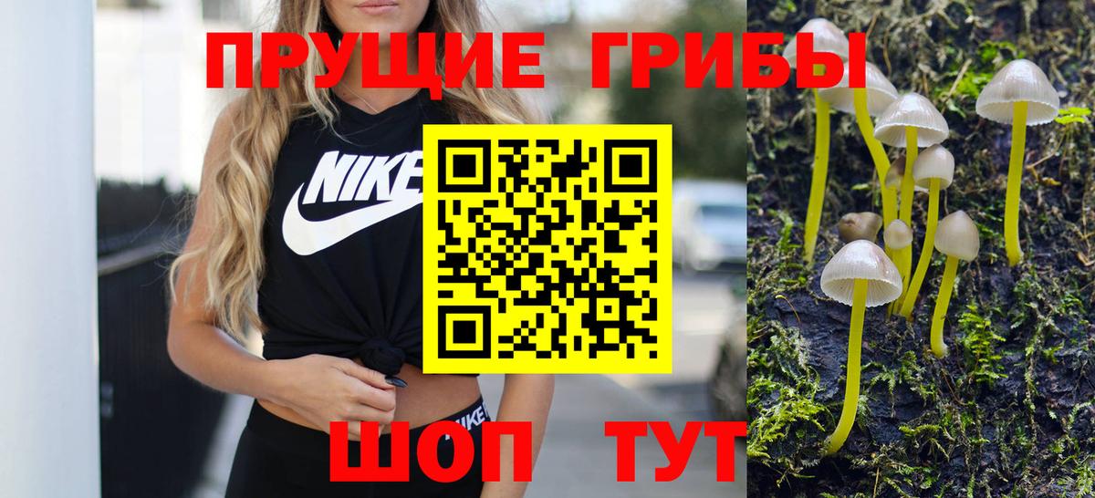 Галлюциногенные грибы MAGIC MUSHROOMS Назарово